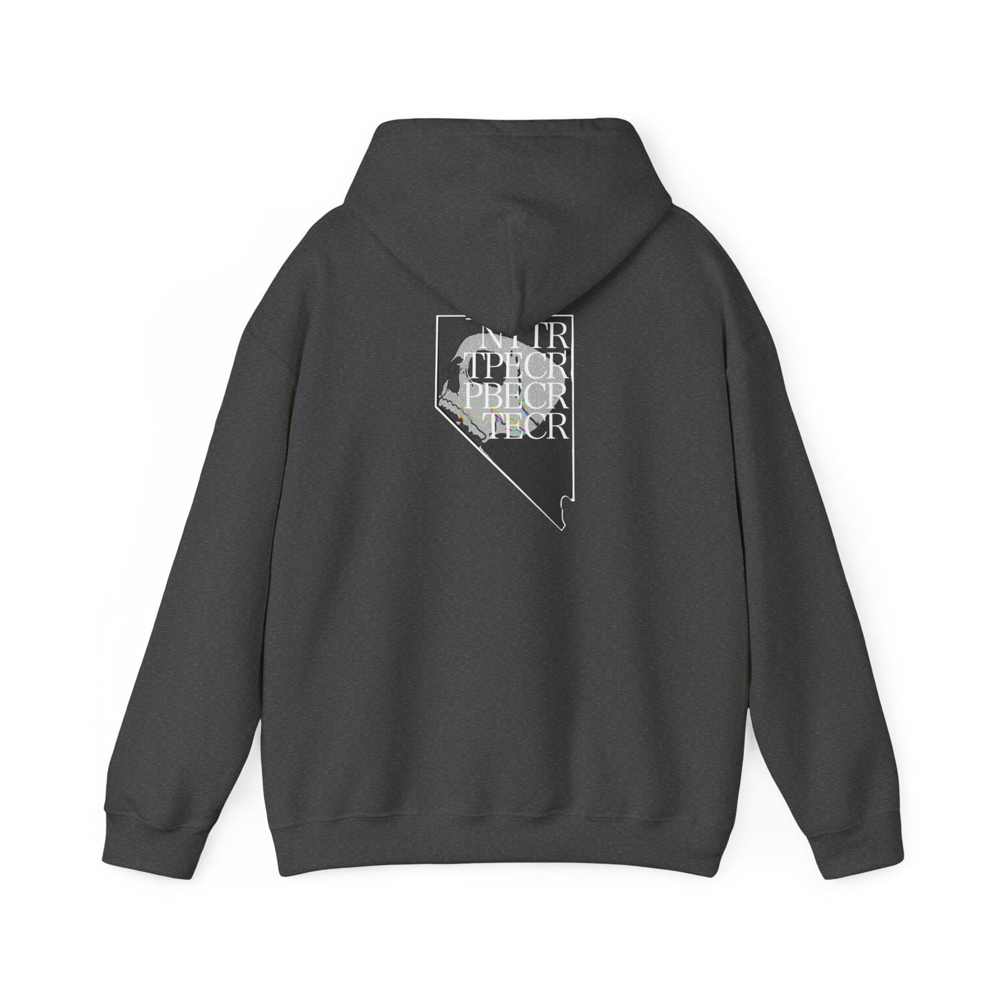 EWS LOGO HOODIE