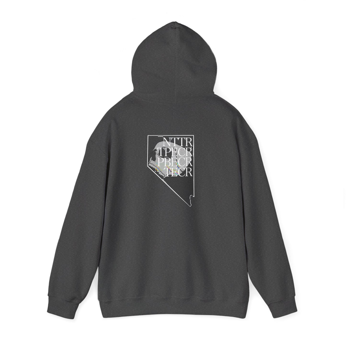 EWS LOGO HOODIE