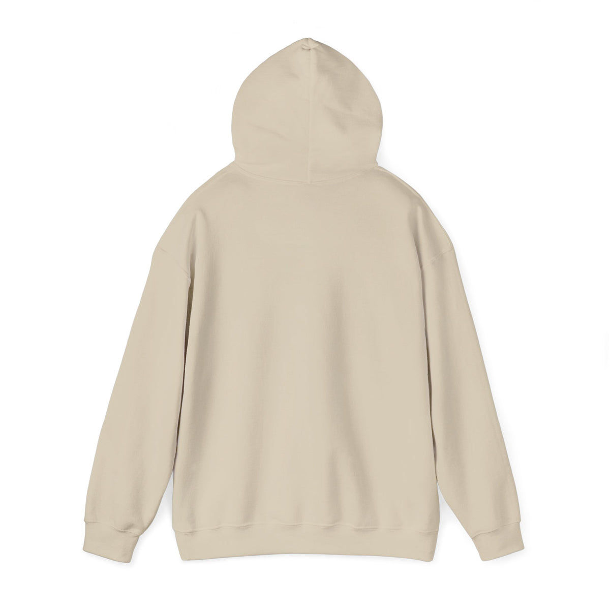 EWS LOGO HOODIE