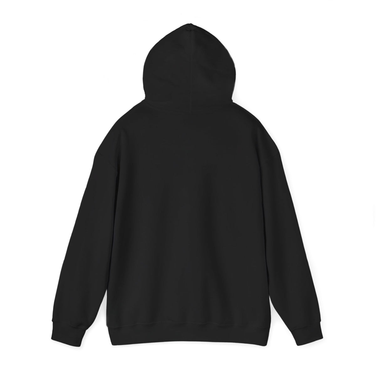 EWS LOGO HOODIE